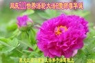 ���ֹ�,�������󷨵��ӹ������編�ִ�����ʦ�𻪵�(20��)