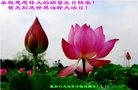 ���ֹ�,�żҿڴ󷨵��ӹ������編�ִ�����ʦ�𻪵�(29��)