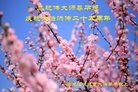 ���ֹ�,��ľ˹�󷨵��ӹ������編�ִ�����ʦ�𻪵�(25��)