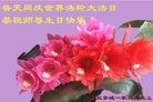 ���ֹ�,�ӱ��󷨵��ӹ������編�ִ�����ʦ�𻪵�(27��)