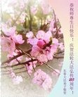 ���ֹ�,�����󷨵��ӹ������編�ִ�����ʦ�𻪵�(22��)