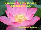���ֹ�,�ȷ��󷨵��ӹ������編�ִ�����ʦ�𻪵�(25��)