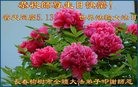 ���ֹ�,�����󷨵��ӹ������編�ִ�����ʦ�𻪵�(22��)