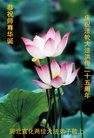 ���ֹ�,�ӱ��󷨵��ӹ������編�ִ�����ʦ�𻪵�(27��)