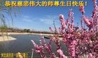 ���ֹ�,ʯ��ׯ�󷨵��ӹ������編�ִ�����ʦ�𻪵�(28��)