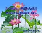 ���ֹ�,�żҿڴ󷨵��ӹ������編�ִ�����ʦ�𻪵�(30��)