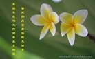 ���ֹ�,�ӱ��󷨵��ӹ������編�ִ�����ʦ�𻪵�(27��)