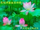 ���ֹ�,�����󷨵��ӹ������編�ִ�����ʦ�𻪵�(22��)