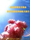���ֹ�,����ʡ�󷨵��ӹ������編�ִ�����ʦ�𻪵�(28��)
