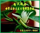 ���ֹ�,����ʡ�󷨵��ӹ������編�ִ�����ʦ�𻪵�(18��)