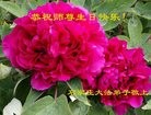 ���ֹ�,ʯ��ׯ�󷨵��ӹ������編�ִ�����ʦ�𻪵�(22��)