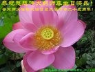 ���ֹ�,ʯ��ׯ�󷨵��ӹ������編�ִ�����ʦ�𻪵�(22��)