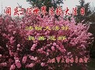 ���ֹ�,����󷨵��ӹ������編�ִ�����ʦ�𻪵�(24��)