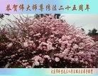 ���ֹ�,����󷨵��ӹ������編�ִ�����ʦ�𻪵�(19��)