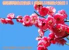 ���ֹ�,ʯ��ׯ�󷨵��ӹ������編�ִ�����ʦ�𻪵�(22��)