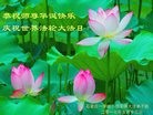 ���ֹ�,ʯ��ׯ�󷨵��ӹ������編�ִ�����ʦ�𻪵�(22��)
