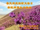 ���ֹ�,��������󷨵��ӹ������編�ִ�����ʦ�𻪵�(19��)