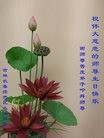 ���ֹ�,����ʡ�󷨵��ӹ������編�ִ�����ʦ�𻪵�(20��)