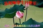 ���ֹ�,�����󷨵��ӹ������編�ִ�����ʦ�𻪵�(24��)