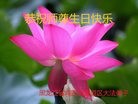 ���ֹ�,�����󷨵��ӹ������編�ִ�����ʦ�𻪵�(24��)