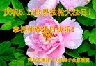 ���ֹ�,�����󷨵��ӹ������編�ִ�����ʦ�𻪵�(19��)