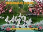 ���ֹ�,��������󷨵��ӹ������編�ִ�����ʦ�𻪵�(19��)