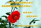 ���ֹ�,�����󷨵��ӹ������編�ִ�����ʦ�𻪵�(19��)