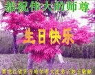 ���ֹ�,��������󷨵��ӹ������編�ִ�����ʦ�𻪵�(20��)