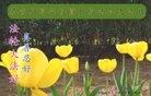 ���ֹ�,�ػʵ��󷨵��ӹ������編�ִ�����ʦ�𻪵�(22��)
