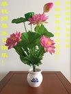 ���ֹ�,ʯ��ׯ�󷨵��ӹ������編�ִ�����ʦ�𻪵�(23��)