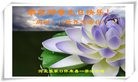 ���ֹ�,�żҿڴ󷨵��ӹ������編�ִ�����ʦ�𻪵�(25��)