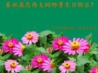 ���ֹ�,�ȷ��󷨵��ӹ������編�ִ�����ʦ�𻪵�(28��)
