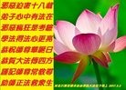 ���ֹ�,ʯ��ׯ�󷨵��ӹ������編�ִ�����ʦ�𻪵�(23��)