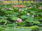 ���ֹ�,�������󷨵��ӹ������編�ִ�����ʦ�𻪵�(28��)