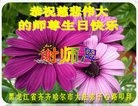 ���ֹ�,��������󷨵��ӹ������編�ִ�����ʦ�𻪵�(20��)