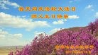 ���ֹ�,��������󷨵��ӹ������編�ִ�����ʦ�𻪵�(23��)