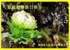 ���ֹ�,�������󷨵��ӹ������編�ִ�����ʦ�𻪵�(20��)