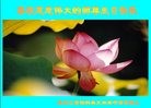 ���ֹ�,�������󷨵��ӹ������編�ִ�����ʦ�𻪵�(20��)