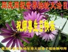 ���ֹ�,��������󷨵��ӹ������編�ִ�����ʦ�𻪵�(23��)