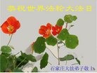 ���ֹ�,ʯ��ׯ�󷨵��ӹ������編�ִ�����ʦ�𻪵�(22��)