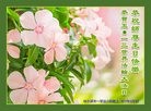 ���ֹ�,�������󷨵��ӹ������編�ִ�����ʦ�𻪵�(20��)