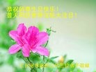 ���ֹ�,�������󷨵��ӹ������編�ִ�����ʦ�𻪵�(28��)