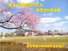 ���ֹ�,�����󷨵��ӹ������編�ִ�����ʦ�𻪵�(24��)