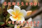 ���ֹ�,�������󷨵��ӹ������編�ִ�����ʦ�𻪵�(19��)