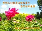 ���ֹ�,�����󷨵��ӹ������編�ִ�����ʦ�𻪵�(24��)