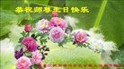 ���ֹ�,�������󷨵��ӹ������編�ִ�����ʦ�𻪵�(26��)