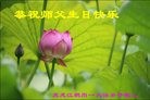 ���ֹ�,�������󷨵��ӹ������編�ִ�����ʦ�𻪵�(26��)