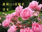 ���ֹ�,�������󷨵��ӹ������編�ִ�����ʦ�𻪵�(26��)
