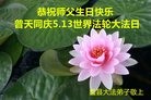 ���ֹ�,�����󷨵��ӹ������編�ִ�����ʦ�𻪵�(23��)