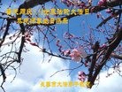 ���ֹ�,�����󷨵��ӹ������編�ִ�����ʦ�𻪵�(20��)